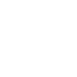 Watermark